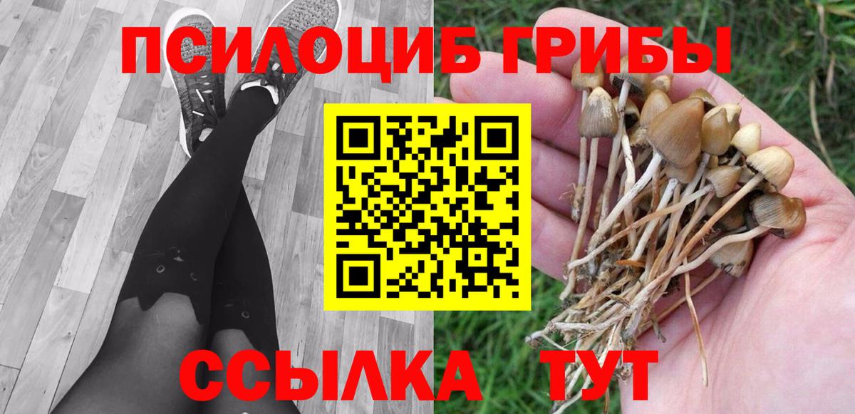 Псилоцибиновые грибы MAGIC MUSHROOMS  Галлюциногенные грибы прущие грибы  Вход с VPN  Кострома 